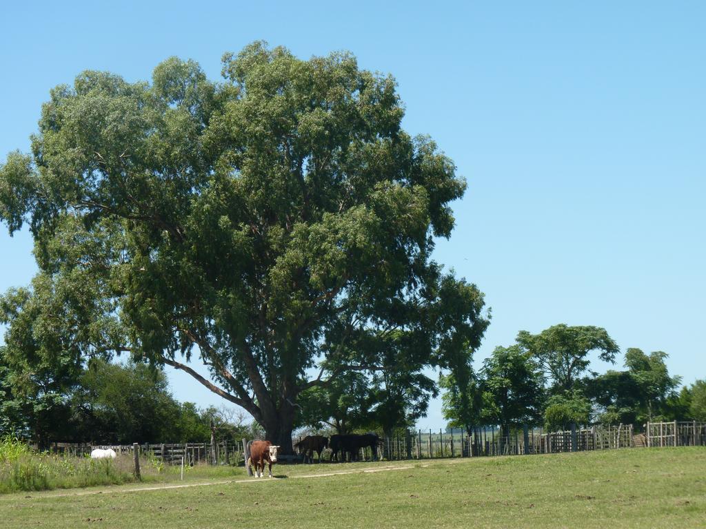 Estancia Hosteria El Ceibo Florida Eksteriør billede